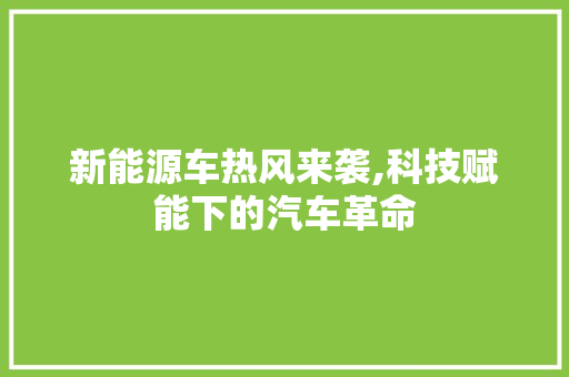 新能源车热风来袭,科技赋能下的汽车革命