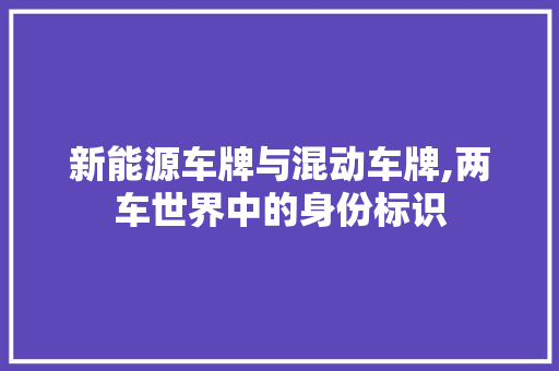 新能源车牌与混动车牌,两车世界中的身份标识