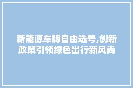新能源车牌自由选号,创新政策引领绿色出行新风尚