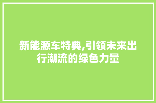 新能源车特典,引领未来出行潮流的绿色力量