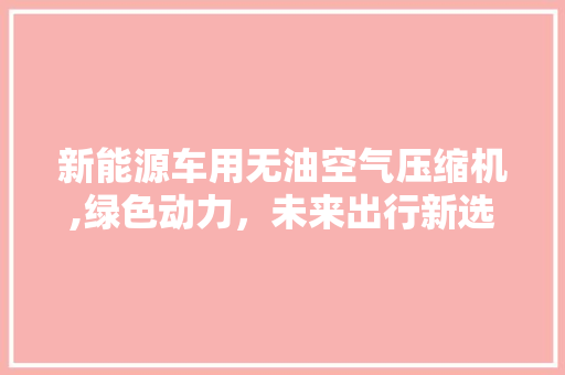 新能源车用无油空气压缩机,绿色动力，未来出行新选择