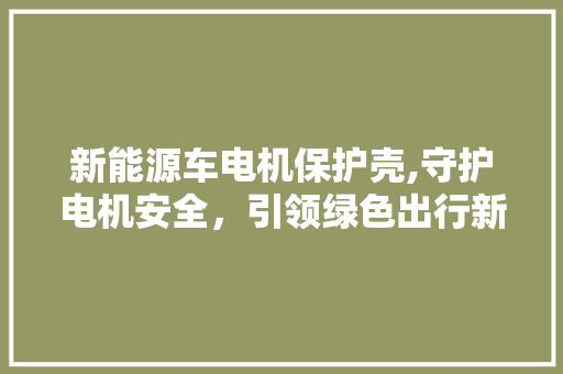新能源车电机保护壳,守护电机安全，引领绿色出行新篇章