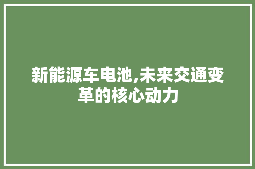 新能源车电池,未来交通变革的核心动力