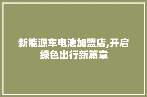 新能源车电池加盟店,开启绿色出行新篇章
