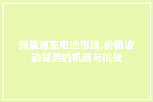 新能源车电池市场,价格波动背后的机遇与挑战