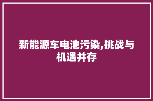 新能源车电池污染,挑战与机遇并存