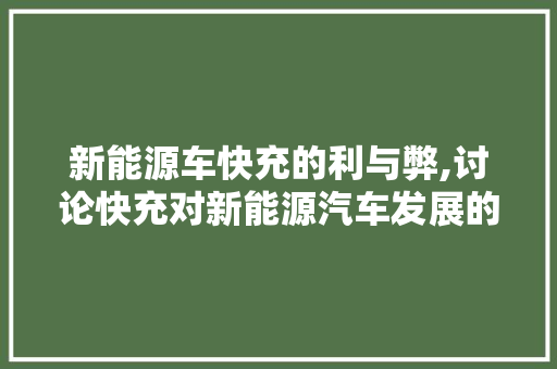 新能源车快充的利与弊,讨论快充对新能源汽车发展的影响