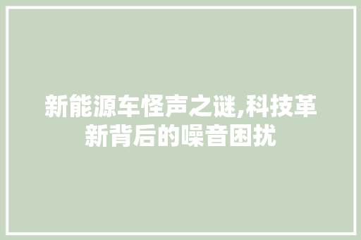 新能源车怪声之谜,科技革新背后的噪音困扰