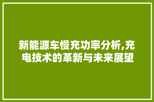 新能源车慢充功率分析,充电技术的革新与未来展望