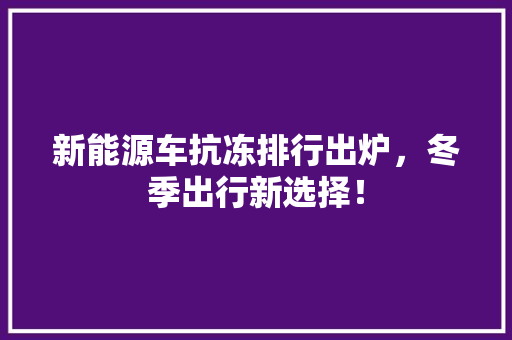 新能源车抗冻排行出炉，冬季出行新选择！