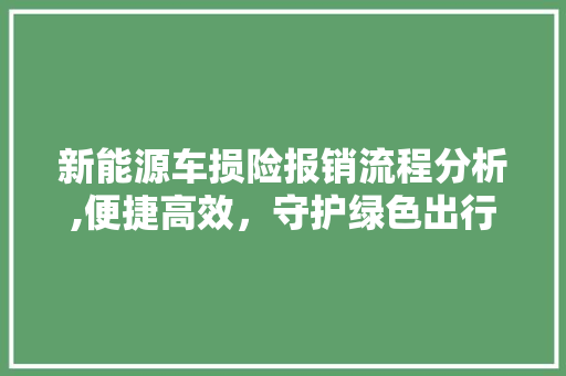 新能源车损险报销流程分析,便捷高效，守护绿色出行