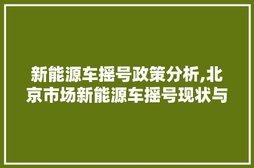 新能源车摇号政策分析,北京市场新能源车摇号现状与未来展望