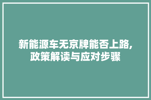 新能源车无京牌能否上路,政策解读与应对步骤