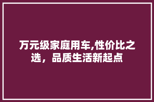 万元级家庭用车,性价比之选，品质生活新起点