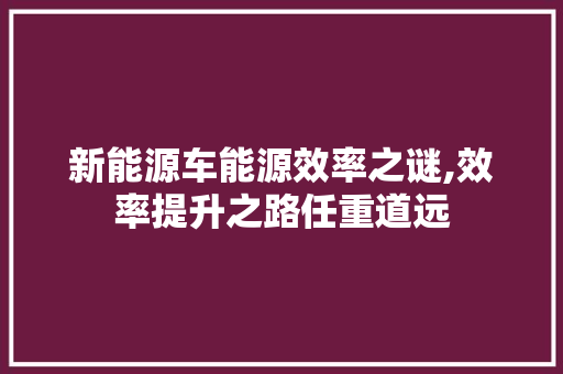 新能源车能源效率之谜,效率提升之路任重道远