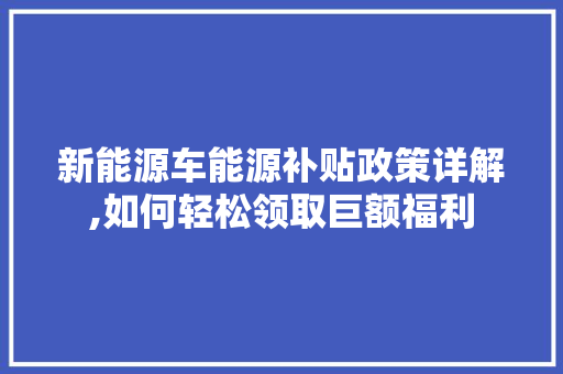 新能源车能源补贴政策详解,如何轻松领取巨额福利