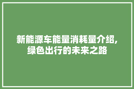 新能源车能量消耗量介绍,绿色出行的未来之路