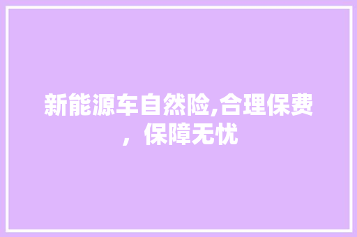 新能源车自然险,合理保费，保障无忧