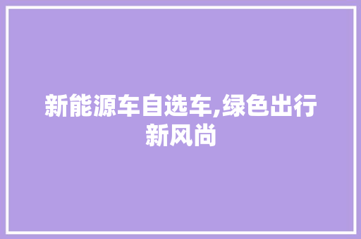 新能源车自选车,绿色出行新风尚