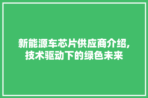 新能源车芯片供应商介绍,技术驱动下的绿色未来