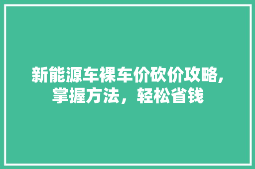 新能源车裸车价砍价攻略,掌握方法，轻松省钱