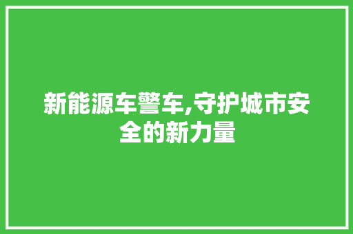 新能源车警车,守护城市安全的新力量 自动驾驶