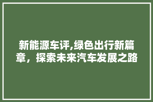 新能源车评,绿色出行新篇章，探索未来汽车发展之路