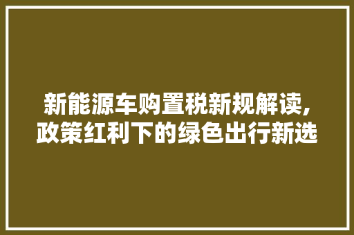 新能源车购置税新规解读,政策红利下的绿色出行新选择