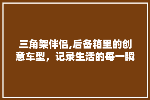 三角架伴侣,后备箱里的创意车型，记录生活的每一瞬间