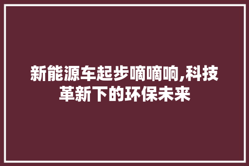 新能源车起步嘀嘀响,科技革新下的环保未来