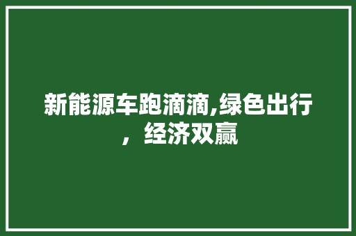 新能源车跑滴滴,绿色出行，经济双赢
