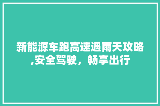 新能源车跑高速遇雨天攻略,安全驾驶，畅享出行