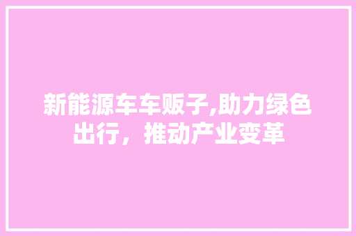 新能源车车贩子,助力绿色出行，推动产业变革