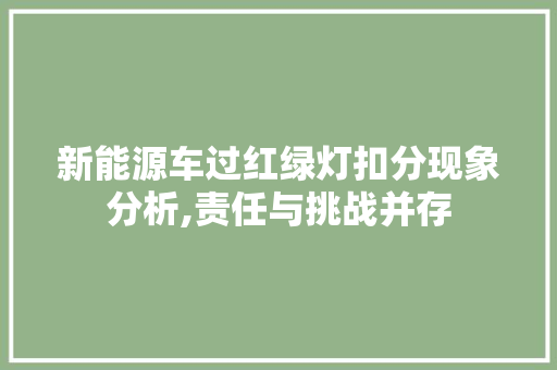 新能源车过红绿灯扣分现象分析,责任与挑战并存