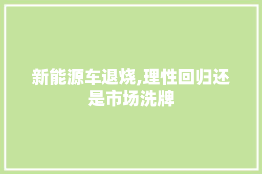 新能源车退烧,理性回归还是市场洗牌