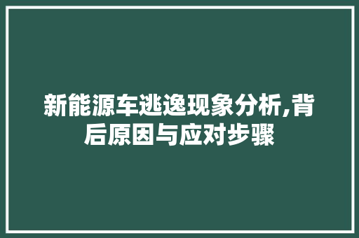 新能源车逃逸现象分析,背后原因与应对步骤
