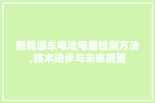 新能源车电池电量检测方法,技术进步与未来展望