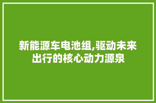 新能源车电池组,驱动未来出行的核心动力源泉
