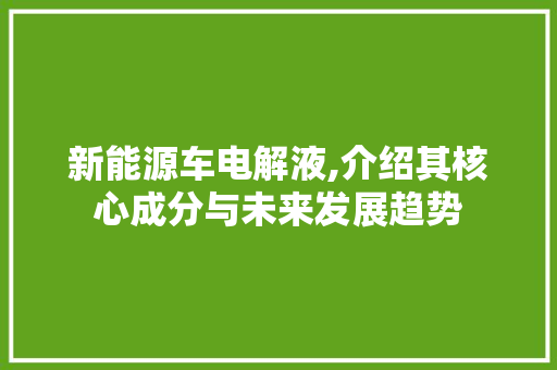 新能源车电解液,介绍其核心成分与未来发展趋势 新能源汽车