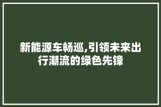 新能源车畅巡,引领未来出行潮流的绿色先锋