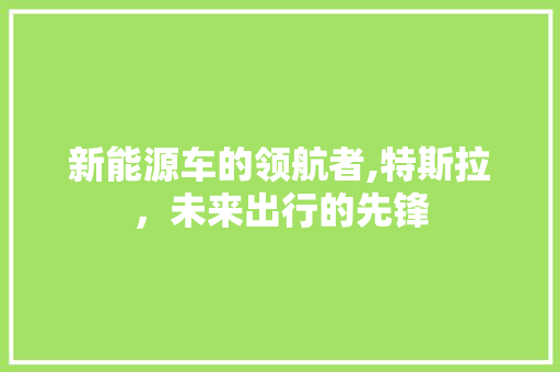 新能源车的领航者,特斯拉，未来出行的先锋