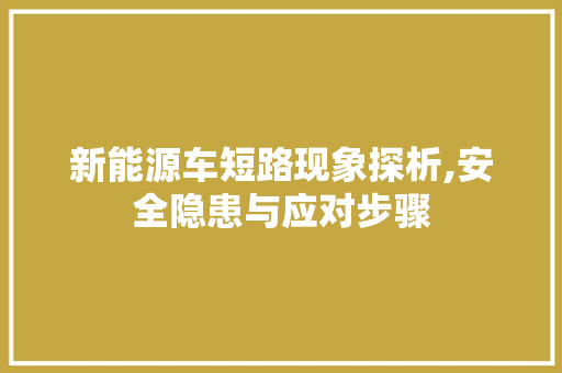 新能源车短路现象探析,安全隐患与应对步骤