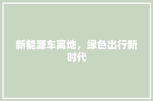 新能源车离地，绿色出行新时代