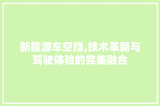 新能源车空挡,技术革新与驾驶体验的完美融合