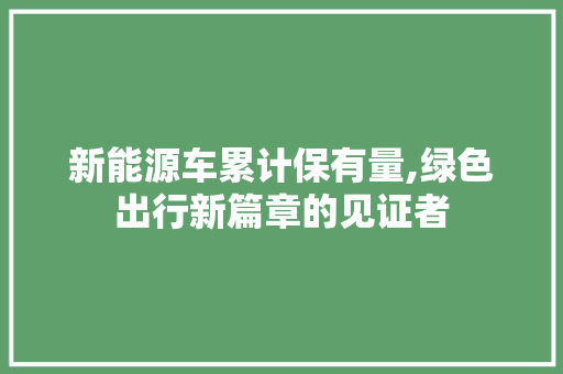 新能源车累计保有量,绿色出行新篇章的见证者