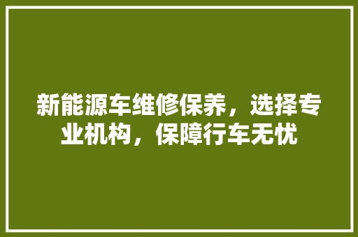 新能源车维修保养，选择专业机构，保障行车无忧