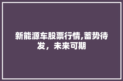 新能源车股票行情,蓄势待发，未来可期