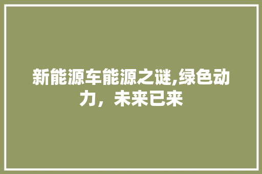 新能源车能源之谜,绿色动力，未来已来