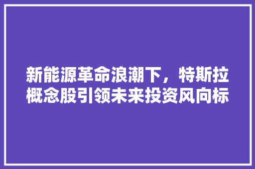 新能源革命浪潮下，特斯拉概念股引领未来投资风向标
