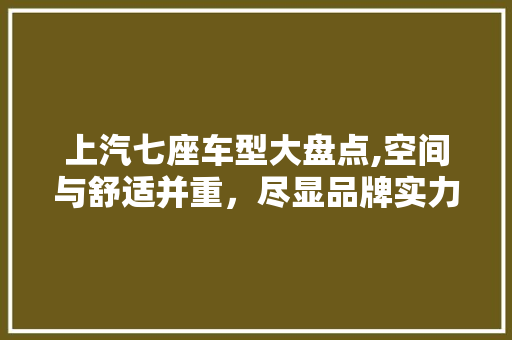 上汽七座车型大盘点,空间与舒适并重，尽显品牌实力 自动驾驶